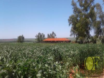 Fazenda para Venda, em Ivinhema, bairro Rural